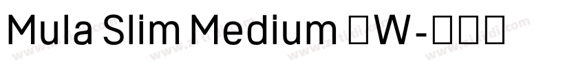 Mula Slim Medium 中W字体转换